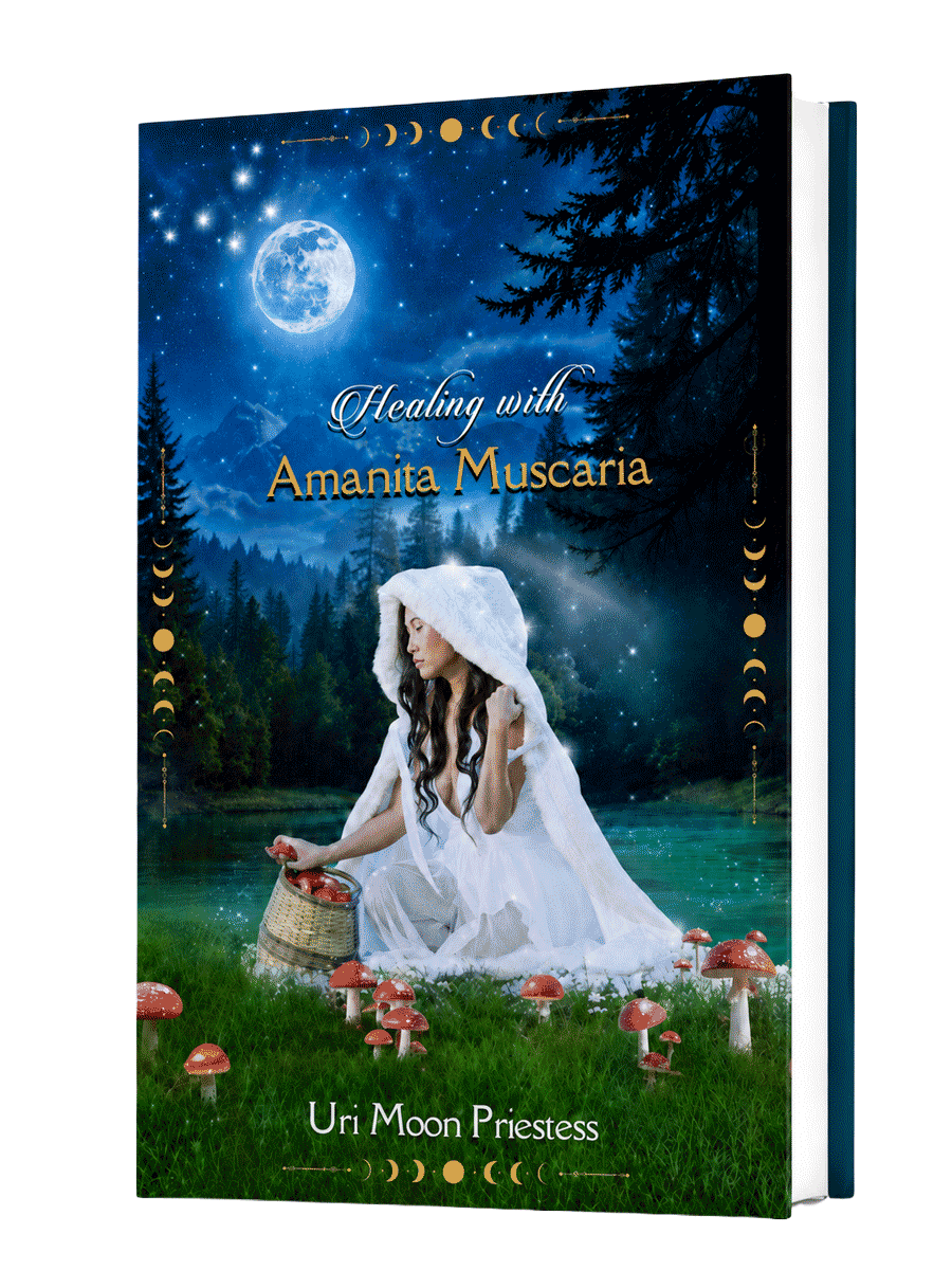 HEALING WITH AMANITA MUSCARIA
